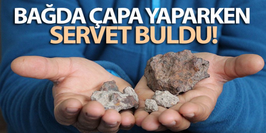 Bağda çapa yaparken servet buldu