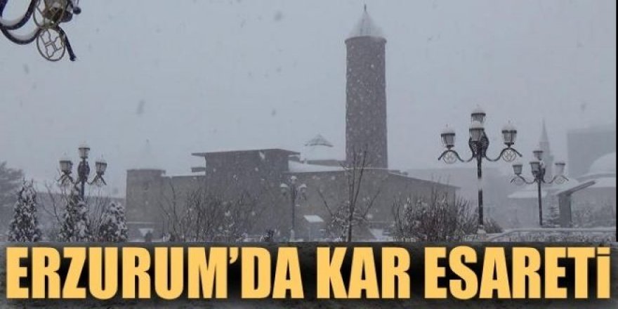 Erzurum’da kar esareti