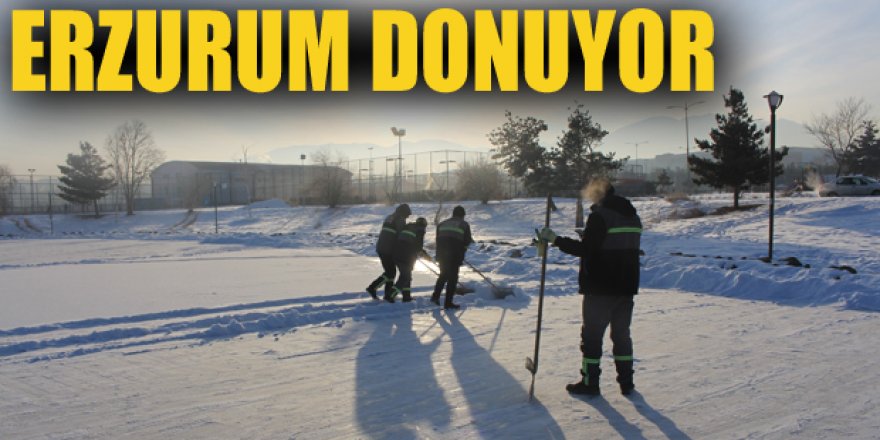 Erzurum'da dondurucu soğuklar yaşamı olumsuz etkiliyor