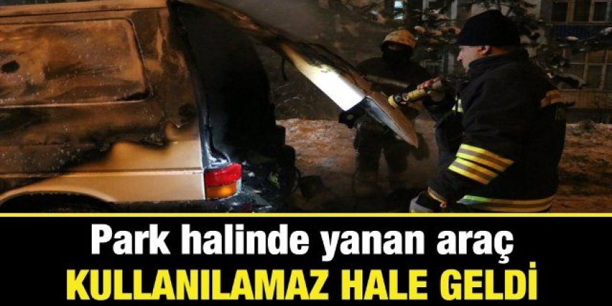 Erzurum'da araç cayır cayır yandı