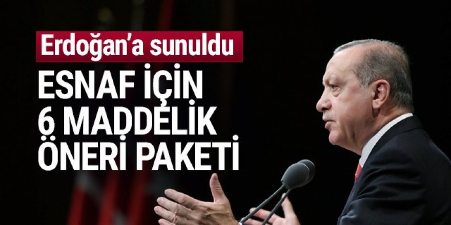 Esnaf için 6 maddelik öneri paketi Erdoğan'a sunuldu