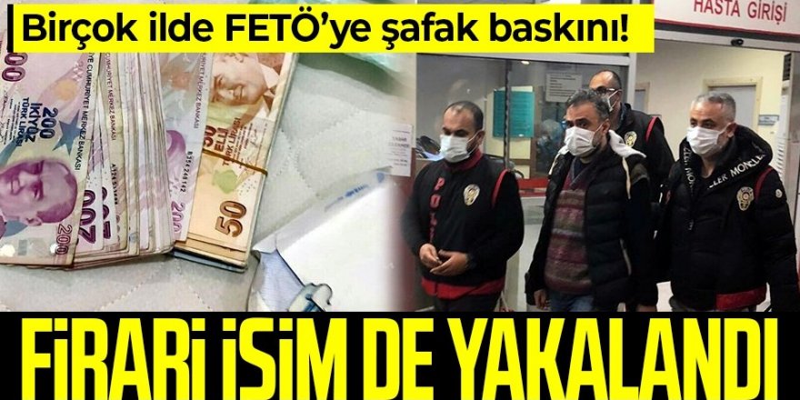 FETÖ'ye birçok ilde şafak baskını