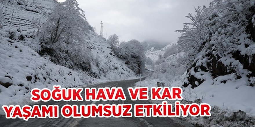 Doğu Anadolu'da soğuk hava etkisini sürdürüyor