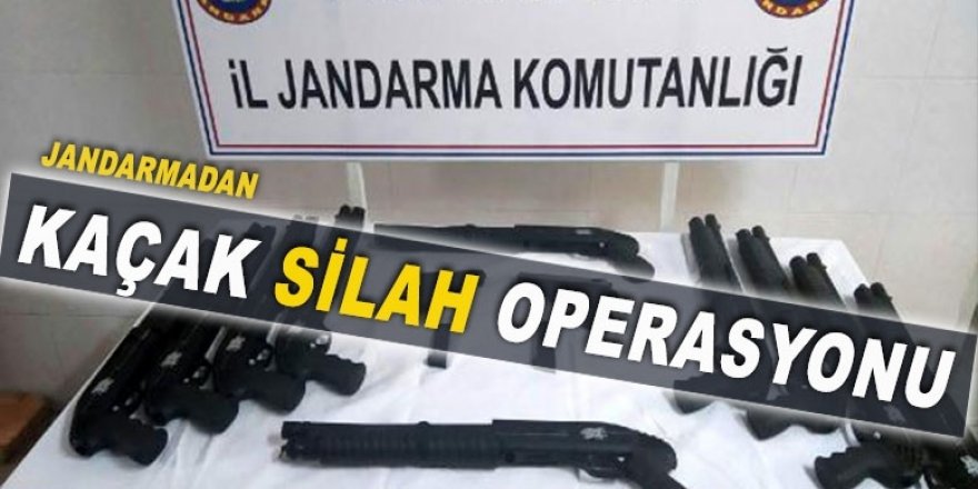 Jandarmadan kaçak silah operasyonu