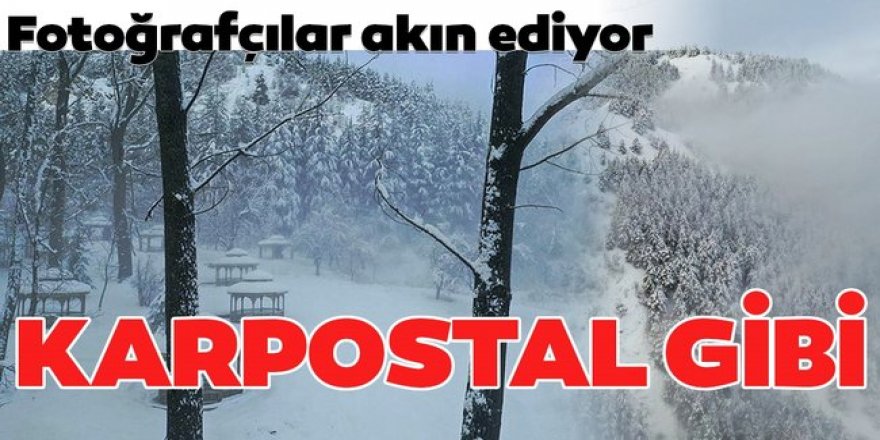 Doğu Anadolu'da yaşamı güçleştiren kar yağışı ve soğuk hava doğaya eşsiz güzellikler kazandırdı