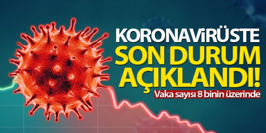 Türkiye'de son 24 saatte 8.636 koronavirüs vakası tespit edildi