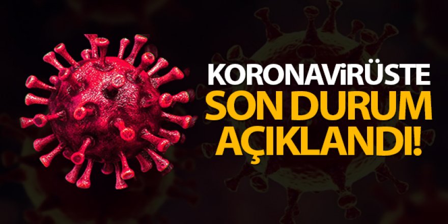 24 saatte 7.763 koronavirüs vakası tespit edildi