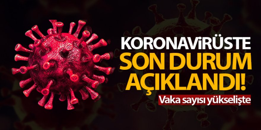 24 saatte 7.945 koronavirüs vakası tespit edildi