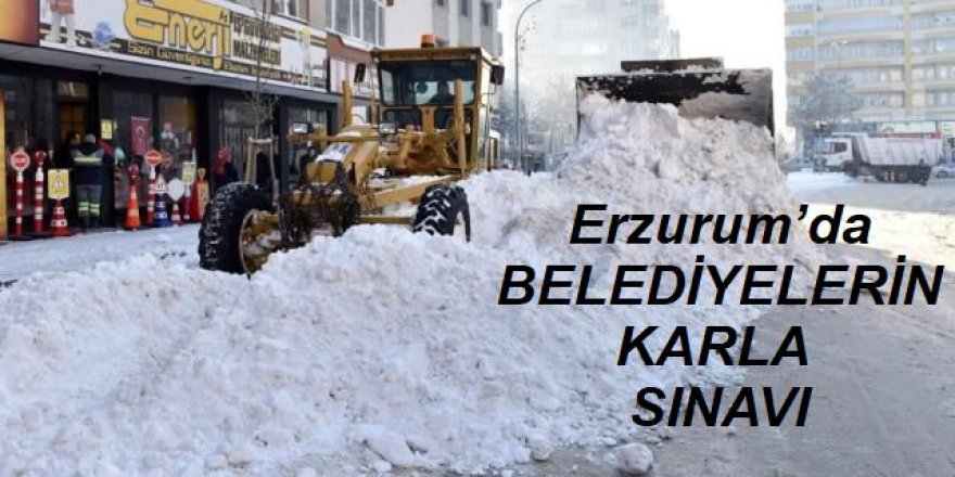 Erzurum'da belediyelerin karla zorlu mücadelesi