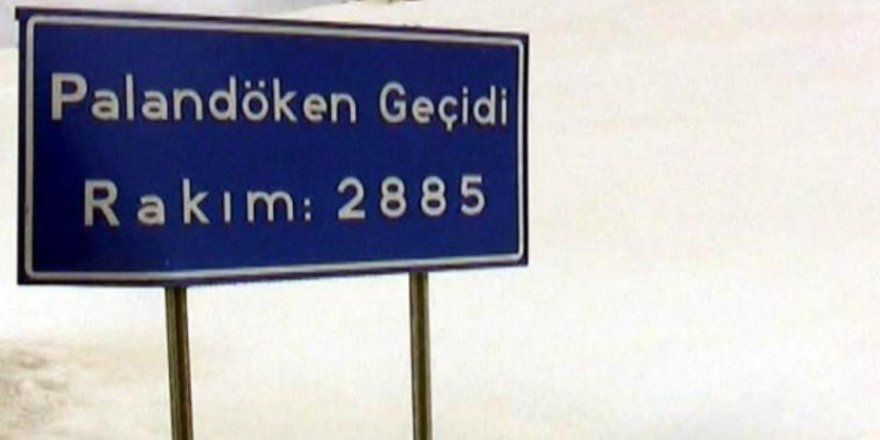 Kar ve tipi nedeniyle Tekman yolu ulaşıma kapandı