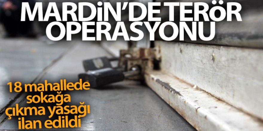 Mardin'de terör operasyonu