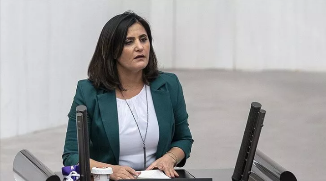 Teslim olan teröristler ifadelerinde HDP Ağrı Milletvekili Taşdemir'in Gara'ya gittiğini anlattı