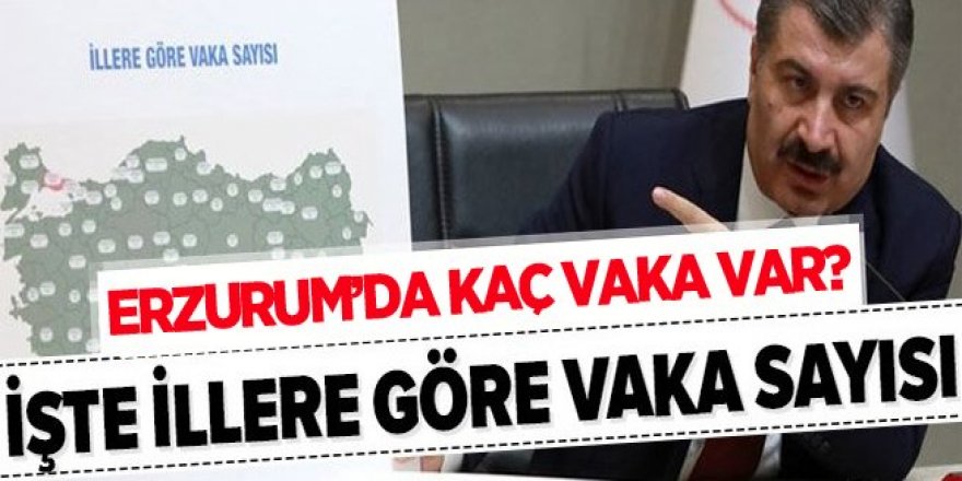 Sağlık Bakanı Koca, illere göre haftalık vaka sayılarını açıkladı