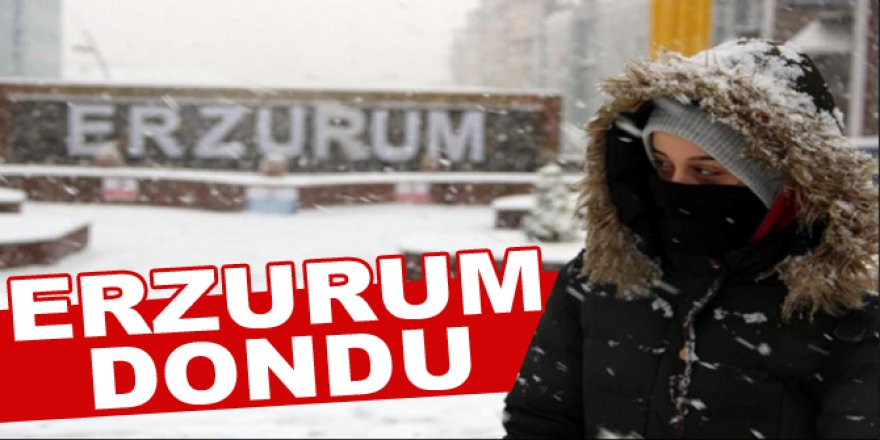 Erzurum buz kesti