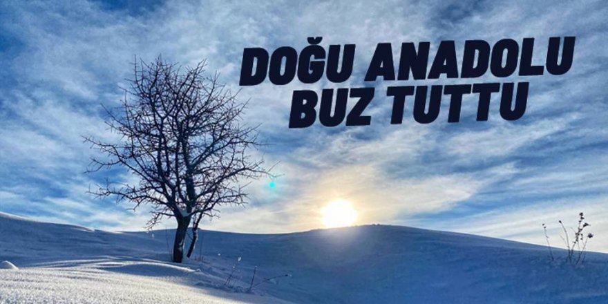 Doğu Anadolu'da soğuk havanın etkisiyle dere ve şelaleler dondu