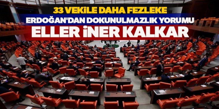 Erdoğan'dan dokunulmazlık yorumu: Eller iner kalkar