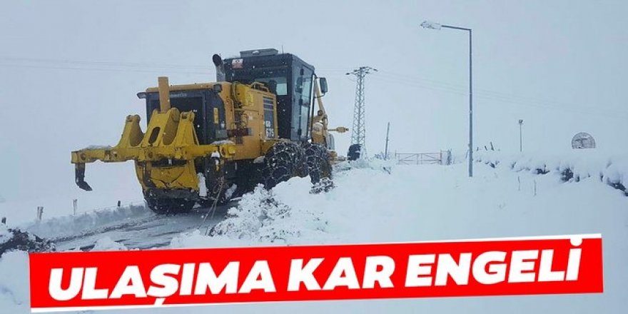 Doğu Anadolu'da kar nedeniyle 168 yerleşim yerine ulaşım sağlanamıyor