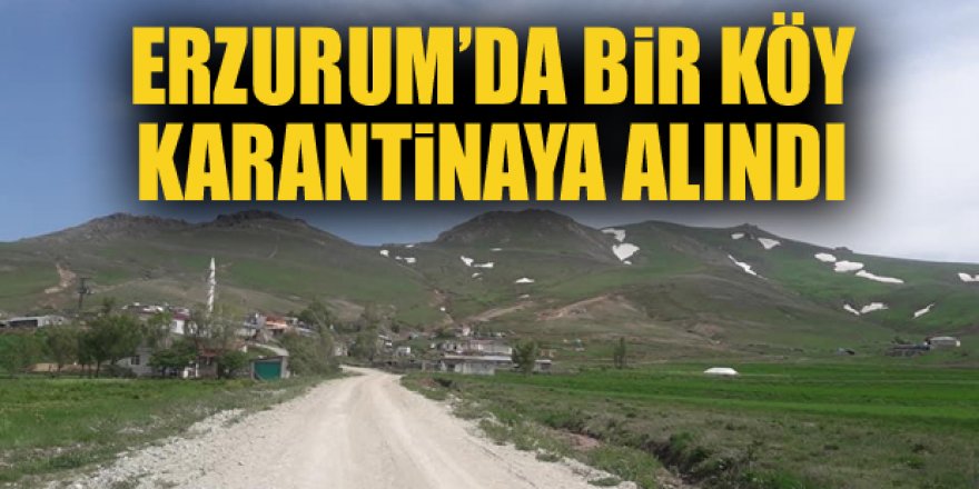 Erzurum'da Kovid-19 nedeniyle bir köy karantinaya alındı