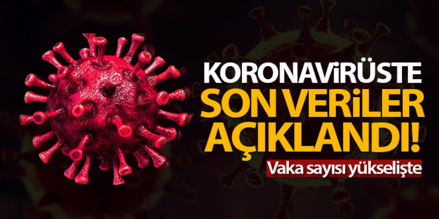 24 saatte 11.770 koronavirüs vakası tespit edildi