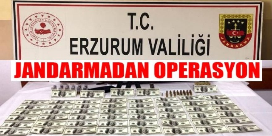 Erzurum’da 2 bin 500 sahte dolar ele geçirildi