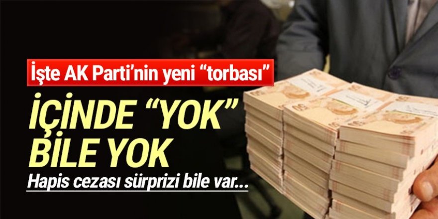 Ekonomiye torba teklif! Bu torbada yok, yok!