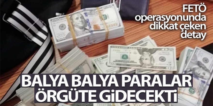 FETÖ operasyonunda dikkat çeken detay: Balya balya paralar örgüte gidecekti