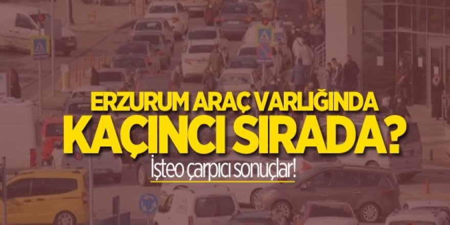 Erzurum araç varlığında kaçıncı sırada?