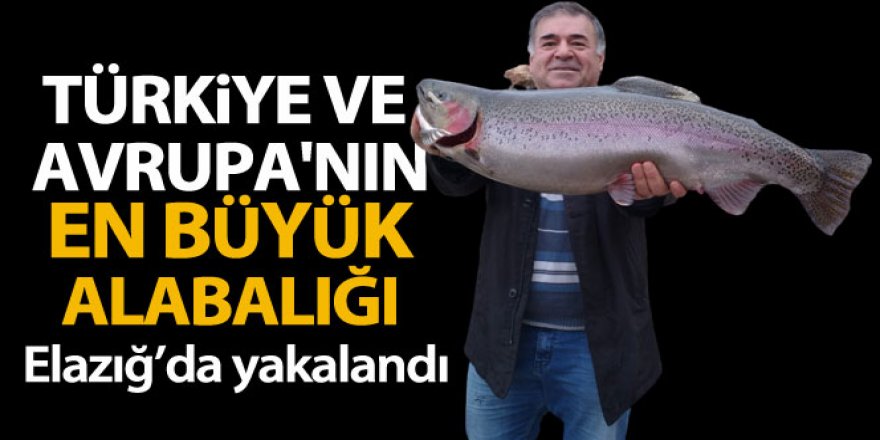 Türkiye ve Avrupa'nın en büyük alabalığı Elazığ'da olta ile yakalandı