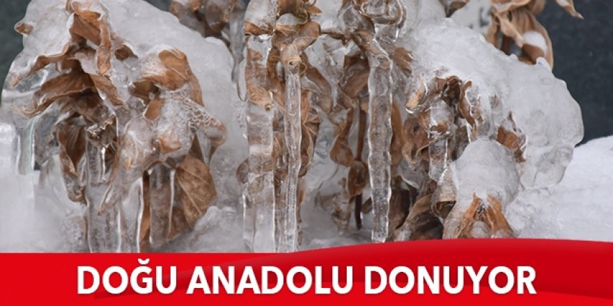 Doğu Anadolu'da dondurucu soğuklar martta da etkisini sürdürüyor