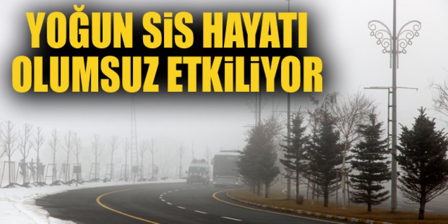 Erzurum ve Kars'ta kar yağışı ve sis etkisini sürdürüyor