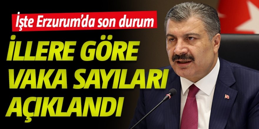 Bakan Koca, İllere göre haftalık vaka sayılarını açıkladı!