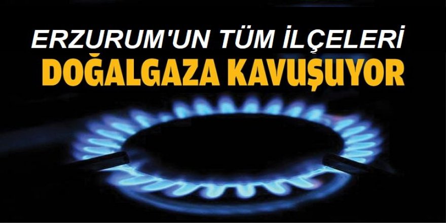 Milletvekili Ban, Doğalgaz müjdesi verdi