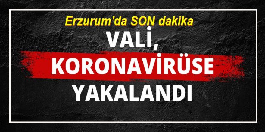 Erzurum Valisi Okay Memiş, koronavirüse yakalandı