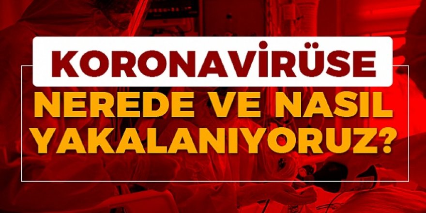 Koronavirüse nerede ve nasıl yakalanıyoruz?