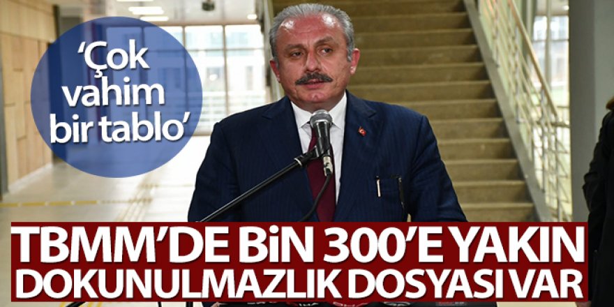 TBMM Başkanı Şentop: 'TBMM'de bin 300'e yakın dokunulmazlık dosyası var, çok vahim bir tablo'