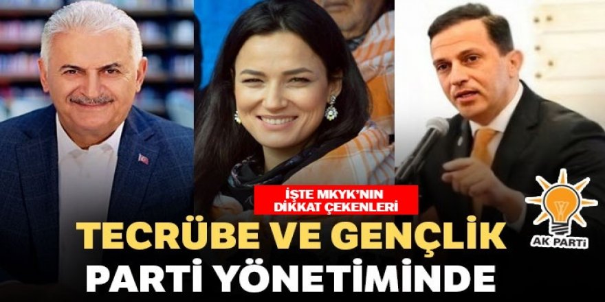 Tecrübe ve gençlik parti yönetiminde