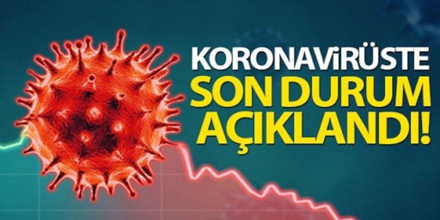 Türkiye'de son 24 saatte 29 bin 58 kişinin Kovid-19 testi pozitif çıktı