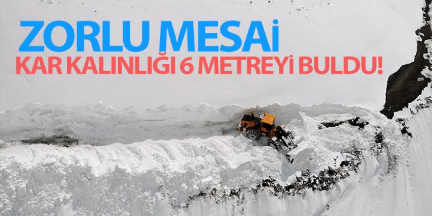 Kar kalınlığının 6 metreyi bulduğu dağlar kar kaplanlarıyla aşılıyor