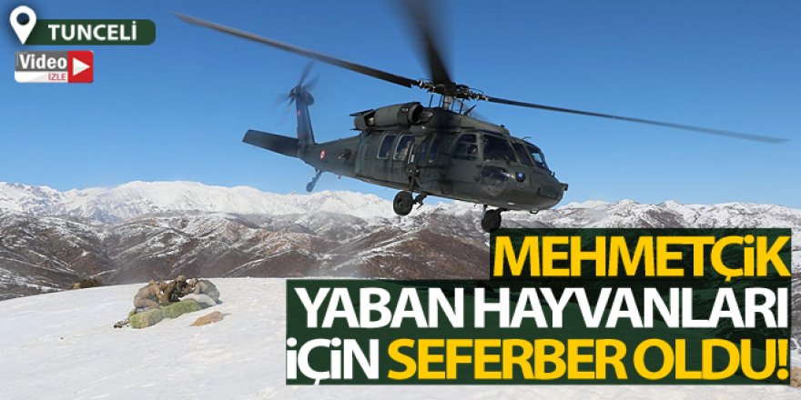 Tunceli'de yaban hayvanlarına helikopterle yem desteği