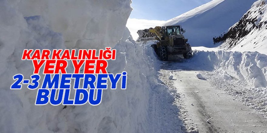 Erzurum’da adam boyu kar