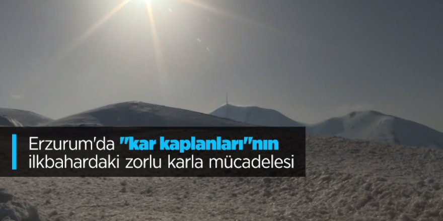 Erzurum'da "kar kaplanları"nın ilkbahardaki zorlu karla mücadelesi drone ile görüntülendi