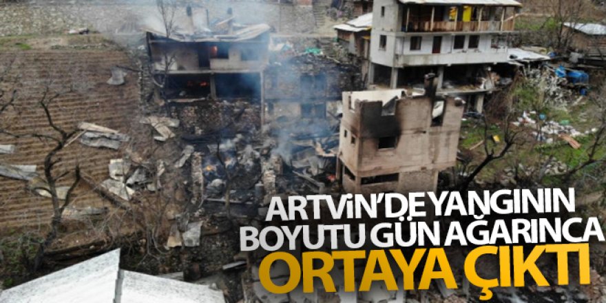 Artvin'de yangının boyutu gün ağarınca ortaya çıktı