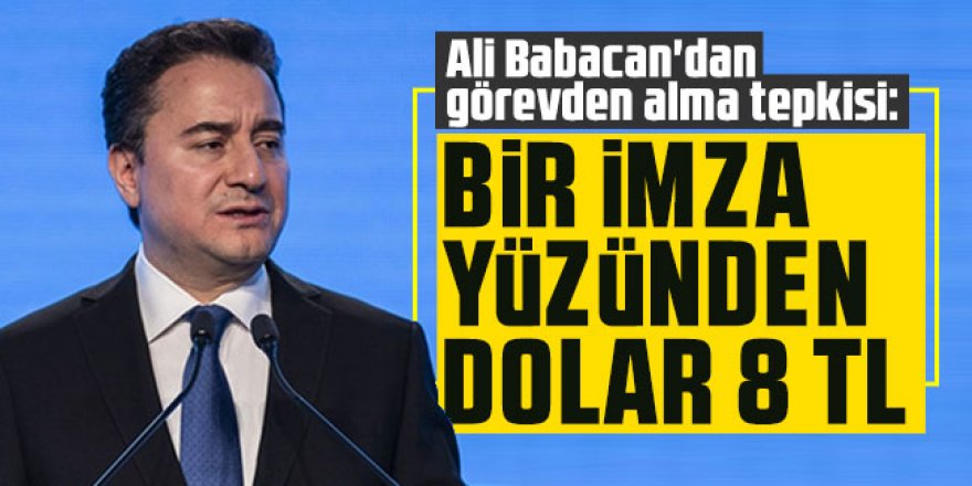 Ali Babacan'dan görevden alma tepkisi: Bir imza yüzünden dolar 8 TL