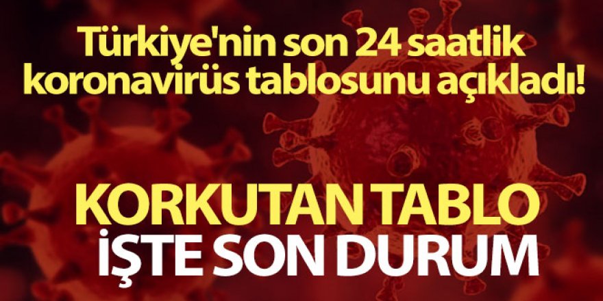 Türkiye'de son 24 saatte 193 kişi hayatını kaybetti