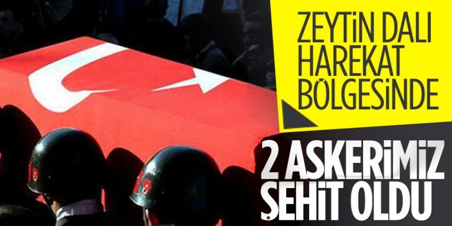 Zeytin Dalı Harekat bölgesinde 2 şehit