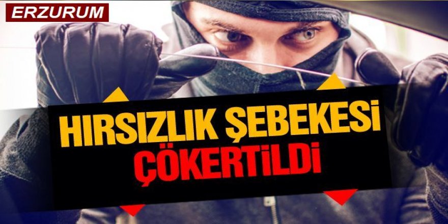 Erzurum'da Organize hırsızlık şebekesi çökertildi