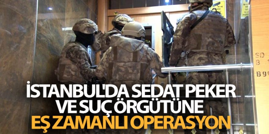 Sedat Peker ve suç örgütüne eş zamanlı operasyon