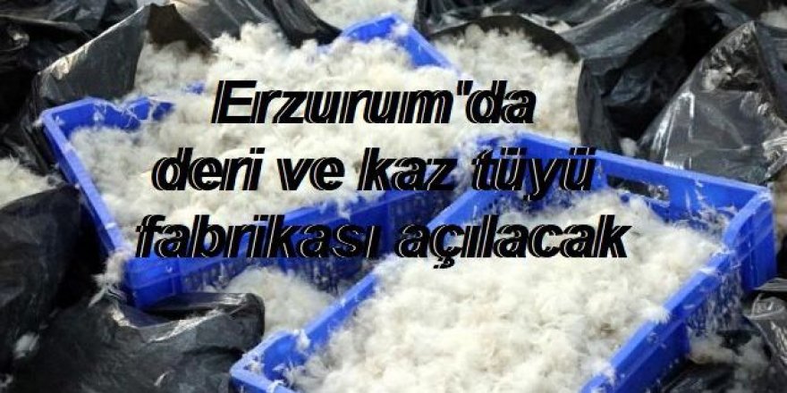 Erzurum'da deri ve kaz tüyü fabrikası açılacak