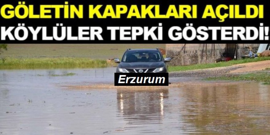 Erzurum'da gölet bir mahalleyi sular altında bıraktı