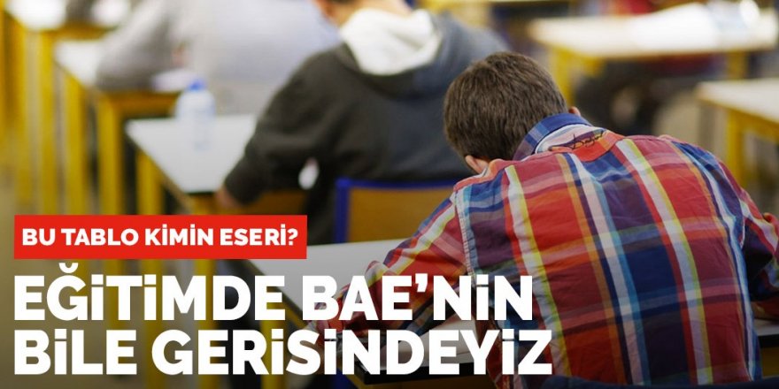 Bu tablo kimin eseri? Eğitimde BAE'nin bile gerisindeyiz